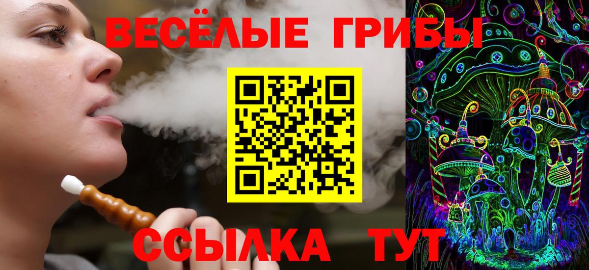 Псилоцибиновые грибы Psilocybine cubensis  Псилоцибиновые грибы Psilocybe  Вход с VPN  Бутурлиновка 